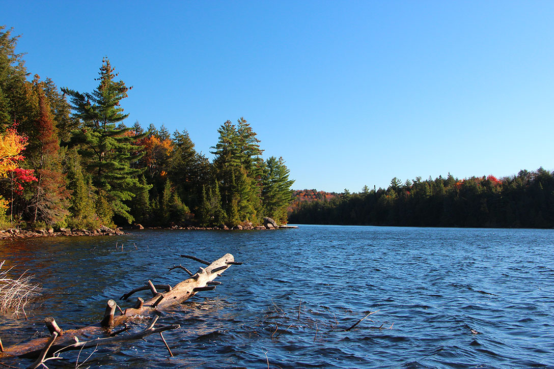 Kanada Algonquin Park